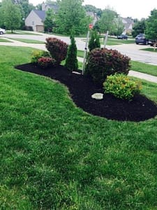 Ann Arbor lawn care- Solis lawn care